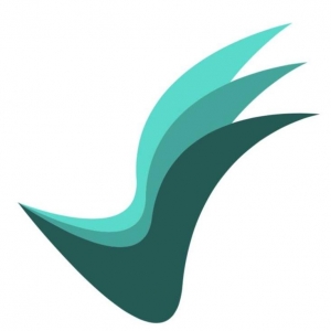 𝑻𝑨𝑩𝑼𝑳𝑨𝑹𝑰𝑺 𝑪𝑶𝑵𝑺𝑼𝑳𝑻𝑶𝑹𝑬𝑺 𝑺𝑹𝑳